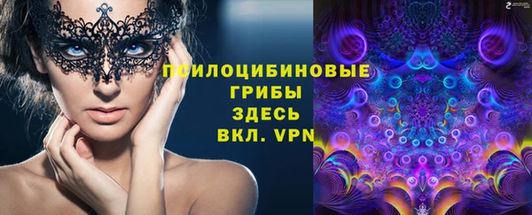молекула духа Алексин