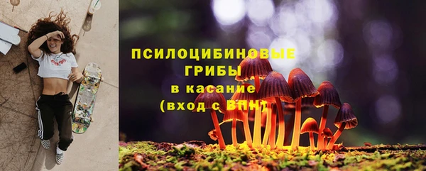 молекула духа Алексин
